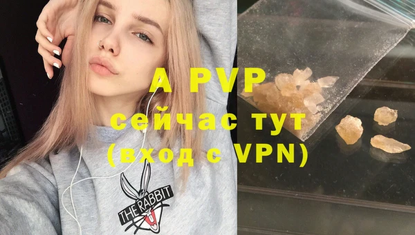 кокс Арсеньев